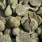 Magical Gummies