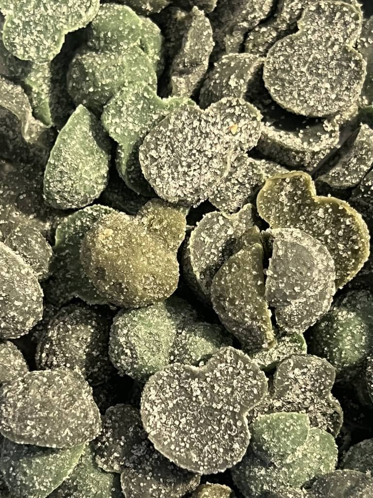 gm.jpeg Magical Gummies