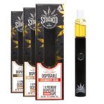 Smashed Disposable Vape - Strawberry Cough